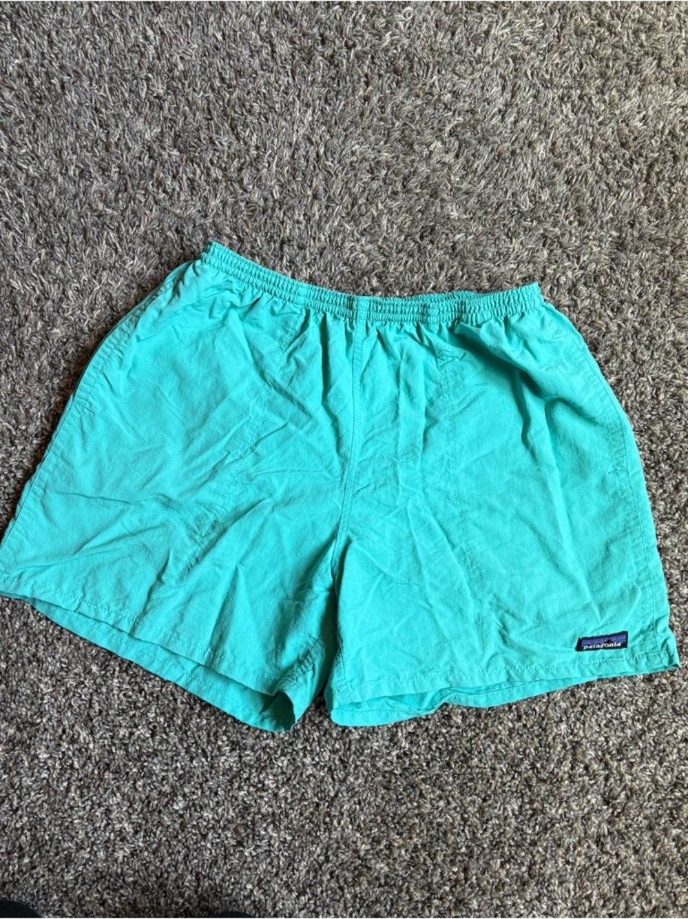 Patagonia Baggies Shorts